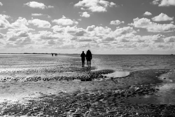 Paisagem Marítima Preta Branca Com Reflexo Nuvens Águas Maré Baixa — Fotografia de Stock