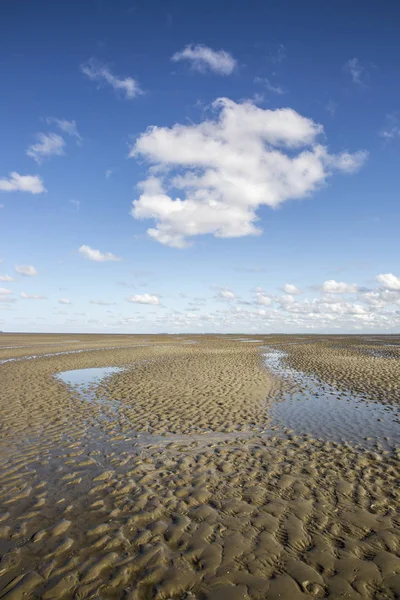 青空の白い雲と砂の中のパターンを持つ海洋風景 ワッデンジー ワッデン海 フリースランド オランダ — ストック写真