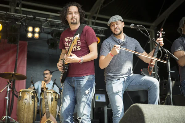 Amsterdam, Hollanda - 3 Temmuz 2016: Alternatif Cezayirli grup Djmawi Africa'nın Amsterdam Roots Open Air konseri, Oosterpark'ta düzenlenen ücretsiz halk kültür festivali
