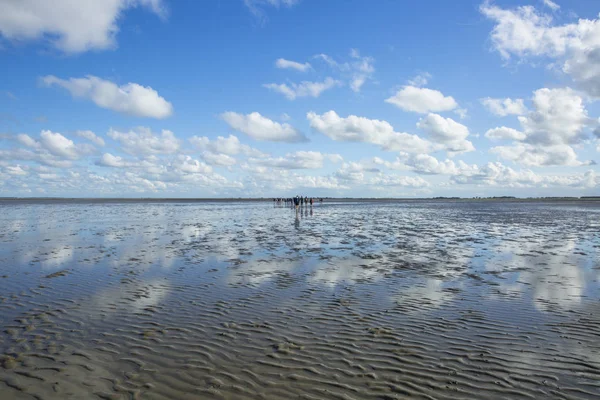 Maritiem Landschap Met Reflectie Van Wolken Laagwater Waddenzee Friesland Nederland — Stockfoto