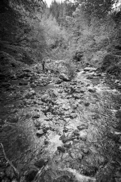 Torrent, dağdan akan nehir