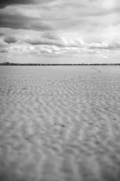 Výhled Moře Breskens Nizozemsko — Stock fotografie