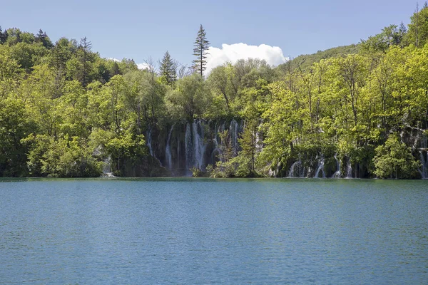 Plitvice Gölleri Ulusal Parkı Nda Güzel Doğa Hırvatistan — Stok fotoğraf