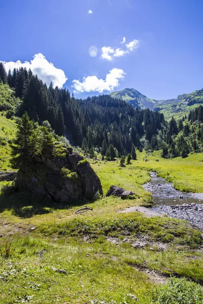 Paisaje Alpino Verano Verde Bucólico Macizo Montañoso Los Alpes Suizos — Foto de Stock