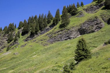Bukolik yeşil yaz alp manzara, İsviçre Alpleri dağ masifi, kton du Valais, İsviçre