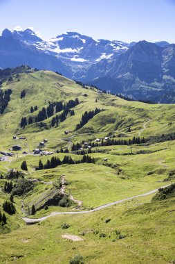 Bukolik yeşil yaz alp manzara, İsviçre Alpleri dağ masifi, kton du Valais, İsviçre