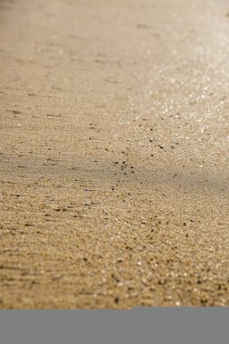 Sahildeki kuma yakın laş.