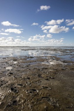 Deniz manzarası bulutların alçak gelgit sularındaki yansıması, Waddenzee, Friesland, Hollanda