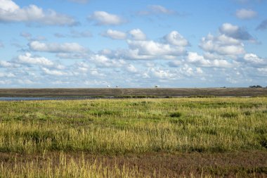 Fundalık, mavi gökyüzü ve bulut, Waddenzee, Friesland, Hollanda ile deniz manzara