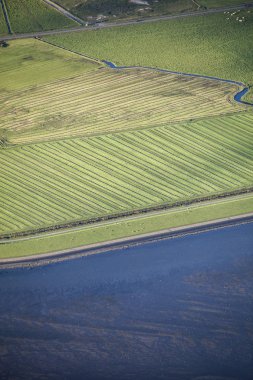Yeşil alanlar, dike ve deniz ile Ameland Frizya Adası kıyılarının havadan kıyı görünümü, Hollanda