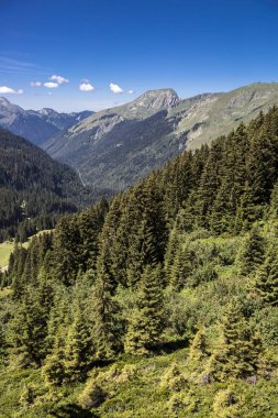 Bukolik yeşil yaz alp manzara, İsviçre Alpleri dağ masifi, kton du Valais, İsviçre