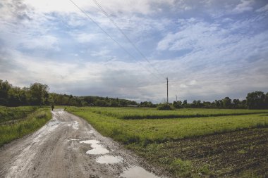 yeşil alanlar, Lonjsko Polje ile kurulu su birikintileri ile çamurlu ıslak yol; Hırvatistan