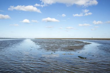 Deniz manzarası bulutların alçak gelgit sularındaki yansıması, Waddenzee, Friesland, Hollanda