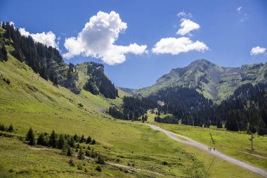 Bukolik yeşil yaz alp manzara, İsviçre Alpleri dağ masifi, kton du Valais, İsviçre