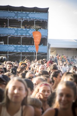 Nyon, İsviçre - 20 Temmuz 2017: Fransız şarkıcı Vianney'in Paleo Festivali konserinde seyirciler tezahürat yapıyor