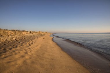 altın kum ile gün batımında bir plajda görünümü sessiz bir deniz