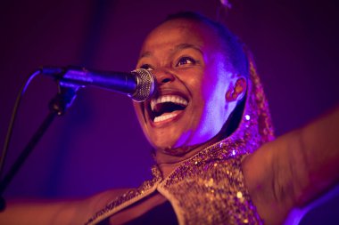 Traena, Norveç - 11 Temmuz 2014: Norveçli elektronik soul şarkıcısı Nosizwe'nin Traenafestival'deki konserinde, traena adasında düzenlenen müzik festivali