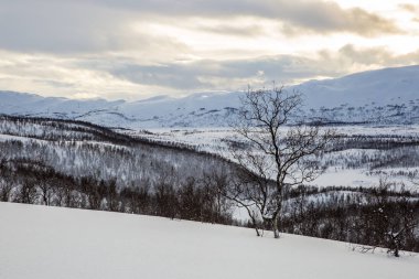 Karlı Norveç dağ manzarası, Nordland, Norveç