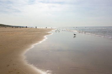 İnsanlar gün batımında kumlu bir sahilde geziniyor.