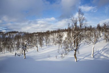 Karlı Norveç dağ manzarası, Nordland, Norveç