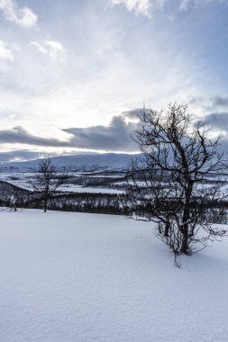 Karlı Norveç dağ manzarası, Nordland, Norveç