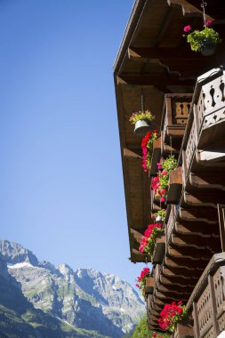 arka planda alps dağ ve mavi gökyüzü ile kırmızı sardunya çiçekleri ile dekore edilmiş ahşap dağ evi