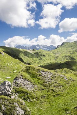 Bukolik yeşil yaz alp manzara, İsviçre Alpleri dağ masifi, kton du Valais, İsviçre