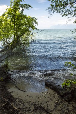 Cenevre Gölü - lac Leman - güneşli bir günde görüntülemek;