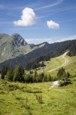 Bukolik yeşil yaz alp manzara, İsviçre Alpleri dağ masifi, kton du Valais, İsviçre