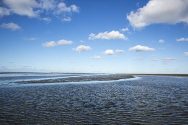 Deniz manzarası bulutların alçak gelgit sularındaki yansıması, Waddenzee, Friesland, Hollanda