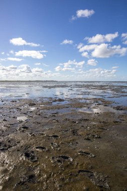 Deniz manzarası bulutların alçak gelgit sularındaki yansıması, Waddenzee, Friesland, Hollanda