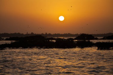 Sine Saloum Delta 'da gün batımı, Senegal