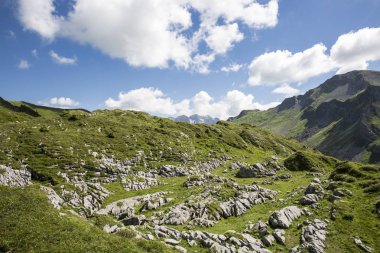Bukolik yeşil yaz alp manzara, İsviçre Alpleri dağ masifi, kton du Valais, İsviçre