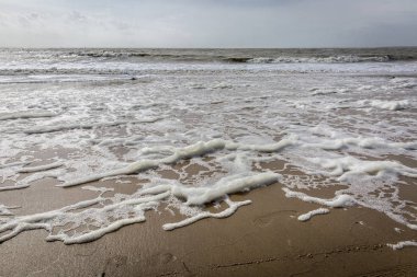 Fransa 'nın batı kıyısındaki sahil, Vendee, l' Aiguillon sur Mer