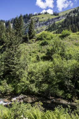 Bukolik yeşil yaz alp manzara, İsviçre Alpleri dağ masifi, kton du Valais, İsviçre