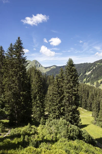 Paysage Alpin Verdoyant Bucolique Été Massif Alpin Suisse Canton Valais — Photo