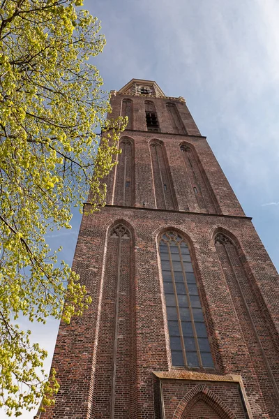 Kilise Tuğla Kulesi Zwolle Hollanda — Stok fotoğraf