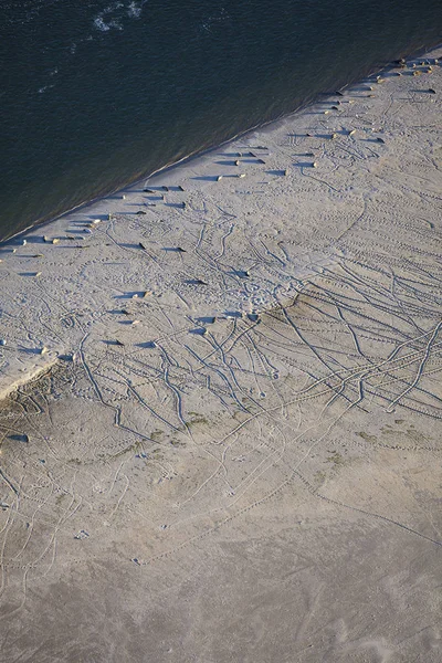 Aerial View Robbeneiland Beach Its Colony Sea Lions Ameland Frisian — Stock Photo, Image