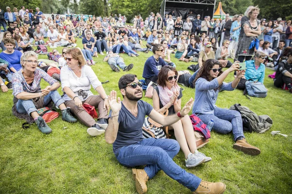 Ámsterdam Países Bajos Julio 2016 Visitantes Sentados Hierba Animando Durante —  Fotos de Stock