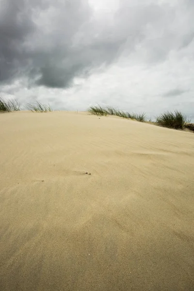 Blick Auf Eine Sanddüne Mit Bewölktem Himmel — Stockfoto