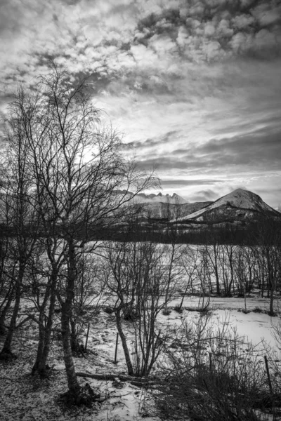 Norská Krajina Zasněžené Hory Zimě Nordland Norsko — Stock fotografie