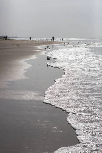 Gente Deambulando Cerca Orilla Una Playa Arena Atardecer — Foto de Stock