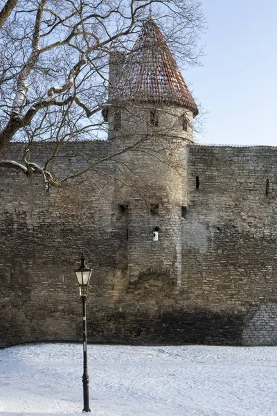 Antiche Mura Tallin Estonia — Foto Stock