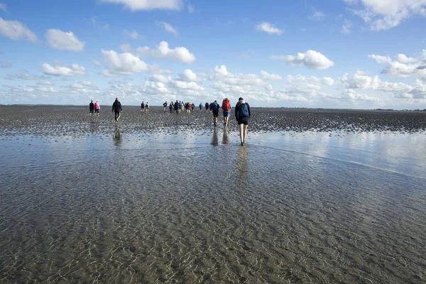 Düşük tide su ve bir grup insan Waddenzee, Friesland, Hollanda trekking, bulutlarda yansıması ile deniz manzara