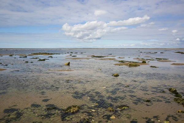 Paisagem Marítima Beira Mar Estuário Garonne Perto Royan França — Fotografia de Stock