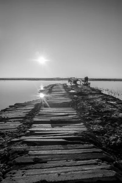 Sílhuetas Retroiluminadas Pessoas Caminhando Pôr Sol Junto Lagoa Reserva Natural — Fotografia de Stock