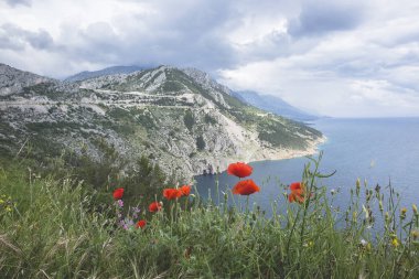 Dramatik bulutlu gökyüzü ve kırmızı haşhaş, Hırvatistan ile adriyatik denizinde aşağı gidiyor uçurumun havadan görünümü