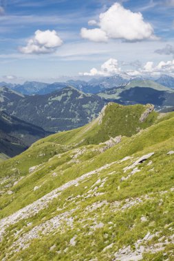 Bukolik yeşil yaz alp manzara, İsviçre Alpleri dağ masifi, kton du Valais, İsviçre