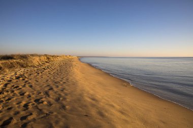 altın kum ile gün batımında bir plajda görünümü sessiz bir deniz