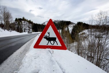 Norveç liredeer uyarı yol işareti